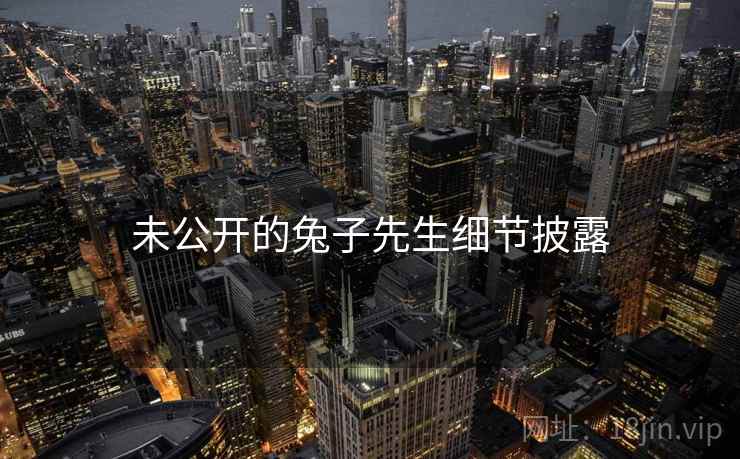 未公开的兔子先生细节披露