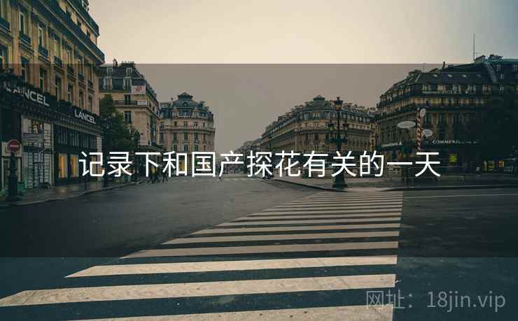 记录下和国产探花有关的一天