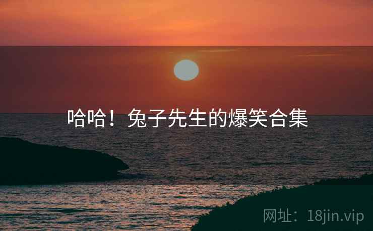 哈哈！兔子先生的爆笑合集
