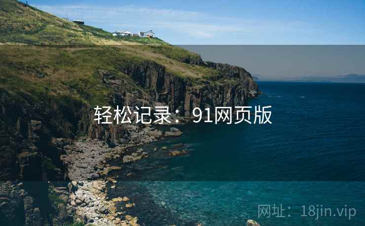 轻松记录：91网页版