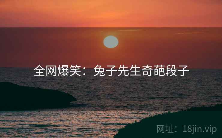 全网爆笑：兔子先生奇葩段子