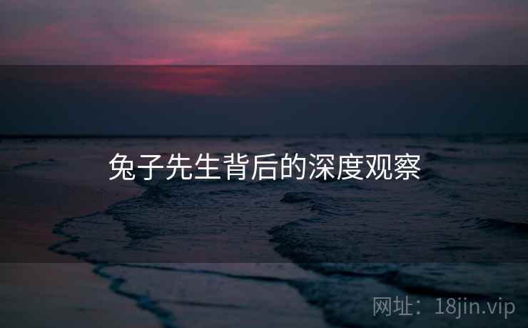兔子先生背后的深度观察