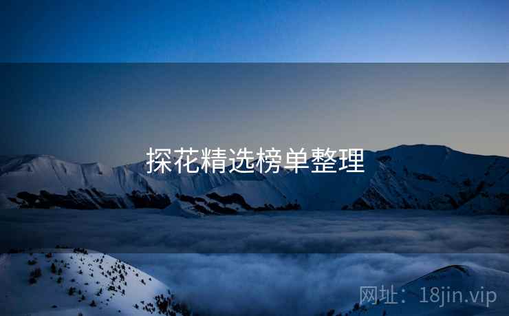 探花精选榜单整理