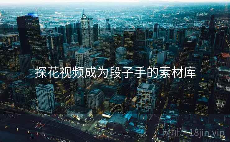 探花视频成为段子手的素材库
