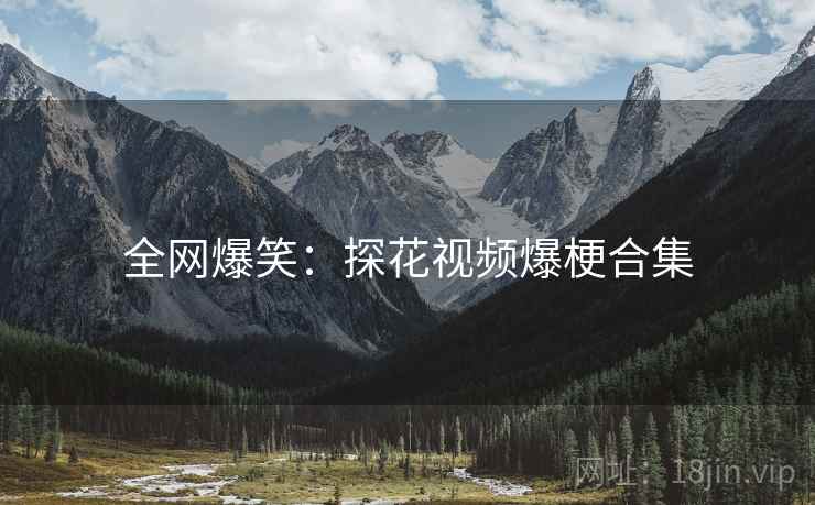 全网爆笑：探花视频爆梗合集