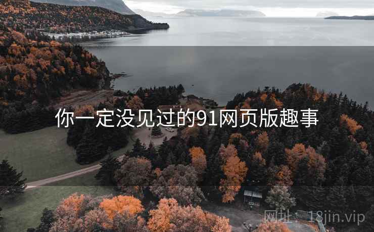 你一定没见过的91网页版趣事