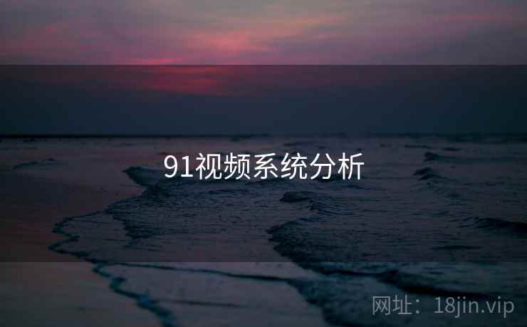 91视频系统分析