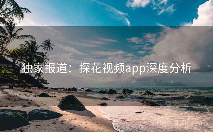 独家报道:探花视频app深度分析